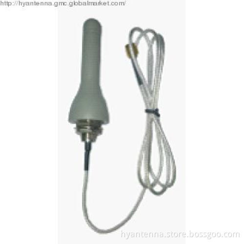 Hot Sale 2dBi 3G Antenna With SMA Male Connector